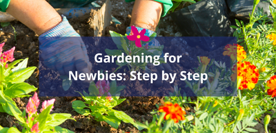 Gardening for Newbies: Step by Step