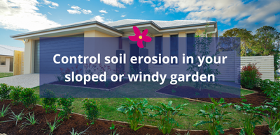 Control soil erosion in your sloped or windy garden