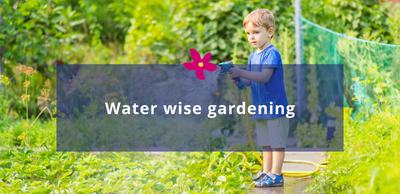 Water wise gardening