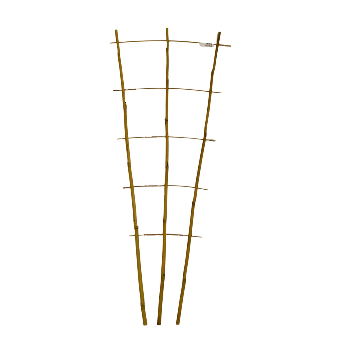 bamboo-ladder-cape-garden-online